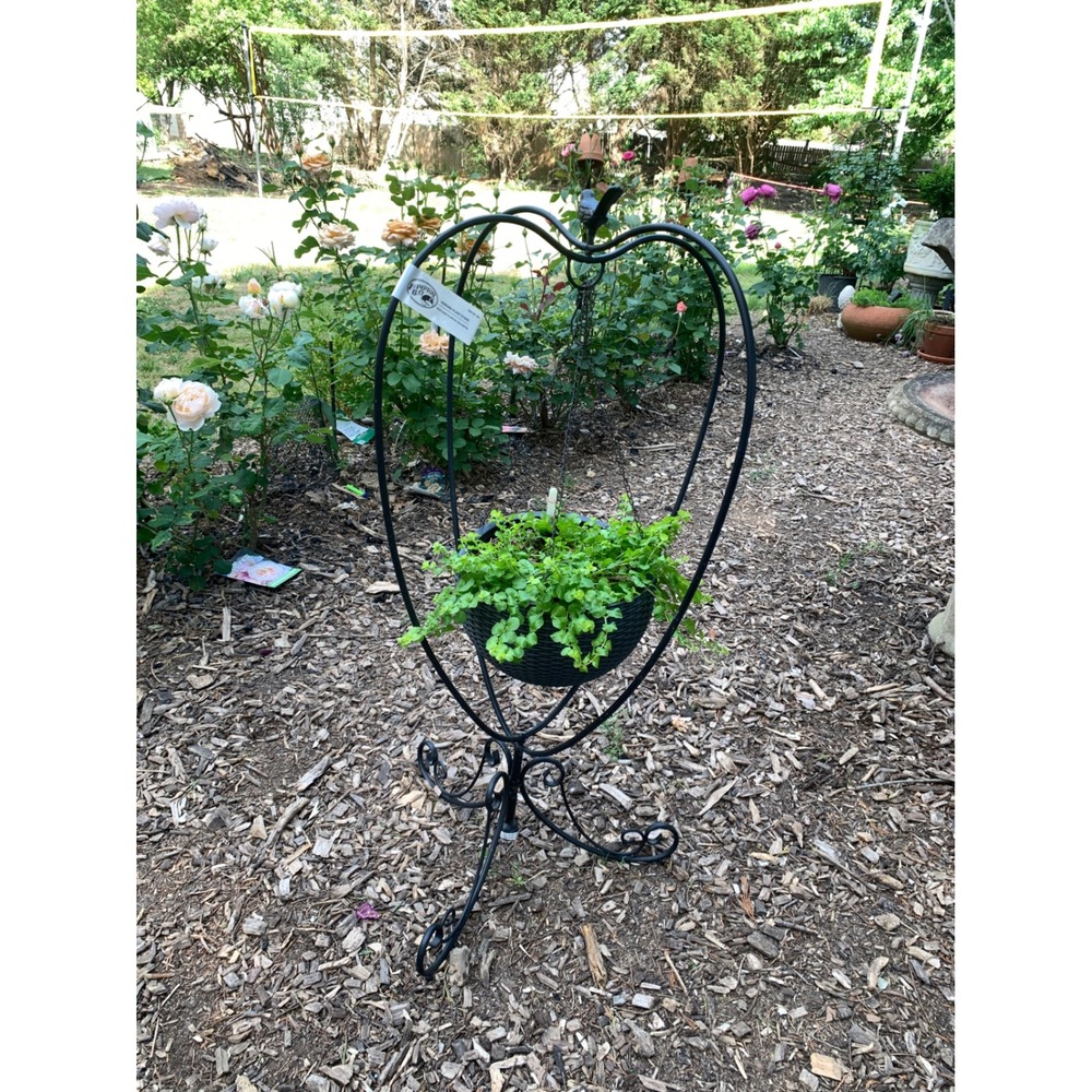 Hampton Bay Heart Shaped Hanging Plant Stand Black Metal Bird Finial Scroll Base